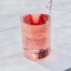 Hario - Cold Brew Aya Cherry Blossoms 750ml - pink