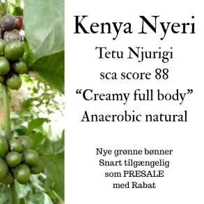 Kenya Nyeri Tetu Njurigi, Grnne bnner 1000 gr.