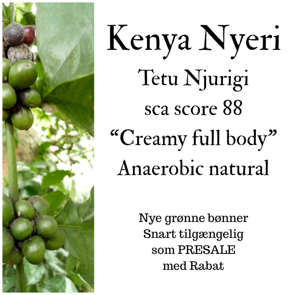Kenya Nyeri Tetu Njurigi, Grnne bnner 1000 gr.
