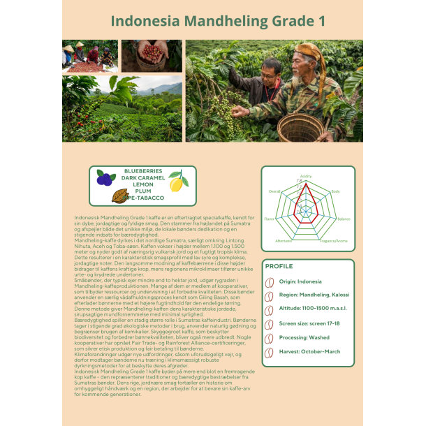 Indonesien Sumatra, Mandheling gr 1 washed, Grnne bnner, 1000 gr