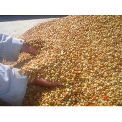 Vinterkaffe - Costa Rica La Candelilla Estate  Honey  Friskristet kaffe, 250 gr