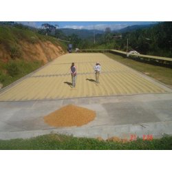 Vinterkaffe - Costa Rica La Candelilla Estate  Honey  Friskristet kaffe, 250 gr