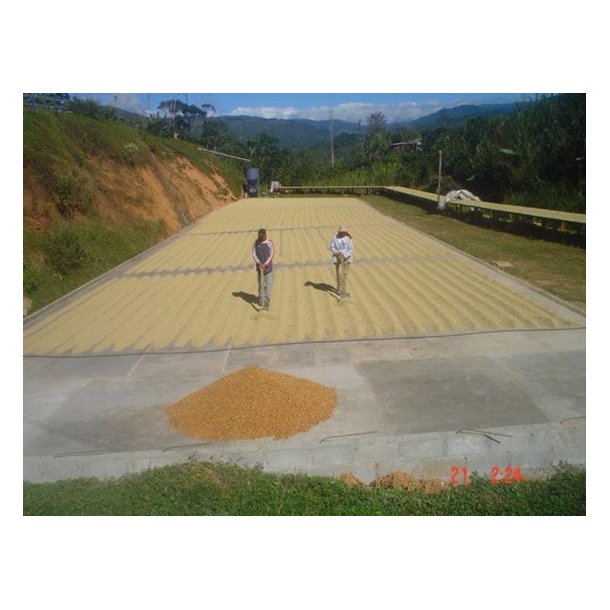 Costa Rica  La Candelilla Estate  Honey  Honey grnne r bnner, 1000. gr