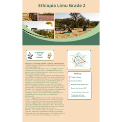 Etiopien Limu Gr2 Grnne Bnner, 1000 gr