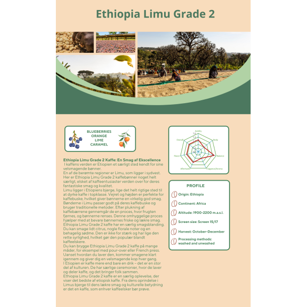 Etiopien Limu Gr2 Grnne Bnner, 1000 gr