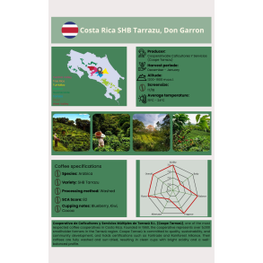 Costa Rica Tarraz, Don Garron Vasket,  1000 gr grnne r bnner