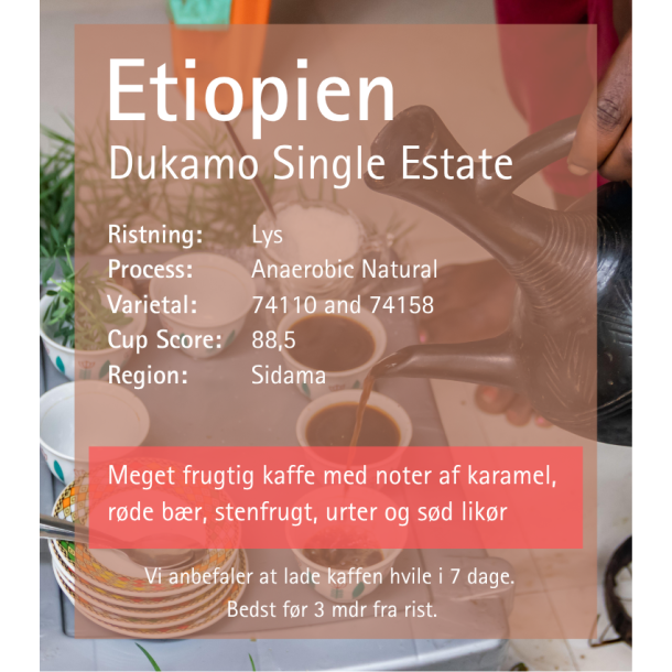 125 gr Etiopien Dukamo, Single estate, natural, Friskristet kaffe