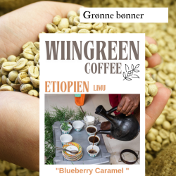 Etiopien Limu Gr2 Grnne Bnner, 1000 gr