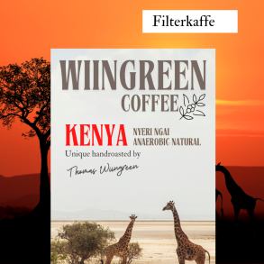 Kenya Nyeri Ngai, Friskristet kaffe, hele b�nner