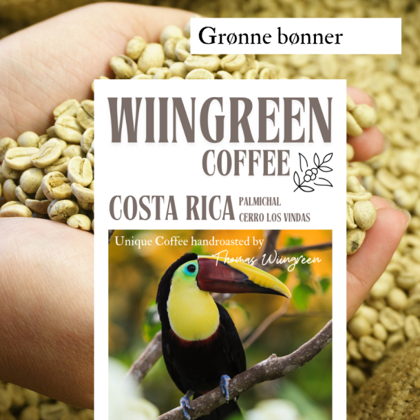 Costa Rica honey  Palmichal - Cerro Los Vindas - grnne r bnner, 1000 gr