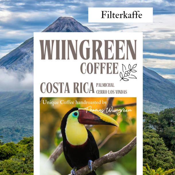 Costa Rica honey  Palmichal - Cerro Los Vindas, Friskristet kaffe, hele bnner