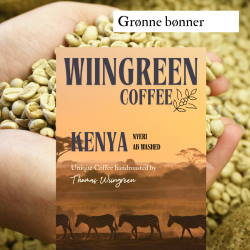  1 kg Kenya AB Arabica Nyeri, gr�nne r� b�nner