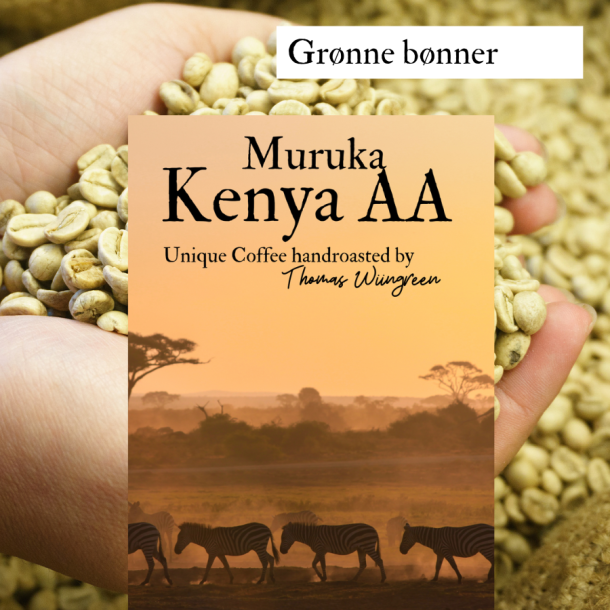 Kenya Muruka AA top vasket, grnne r bnner, 1000 gr