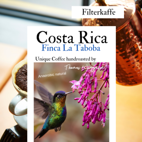 Costa Rica, Finca La Taboba, Don Senel Anaerobic,  Friskristet kaffe hele bnner
