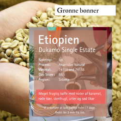 Etiopien Dukamo, Single estate, natural, Gr�nne r� b�nner, 1000 gr