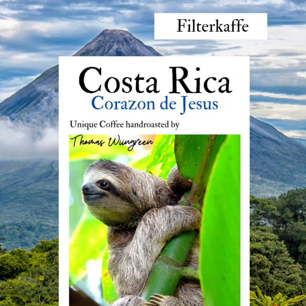 Costa Rica Corazon de Jesus El Salitre Catuai Natural, friskristet kaffe, hele bnner