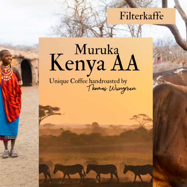 Kenya Muraka AA top, Friskristet kaffe, hele bnner