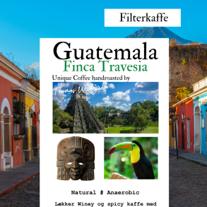 250 gr Ristet 1/9 Guatemala Travesia Anaerobic natural, hele bnner