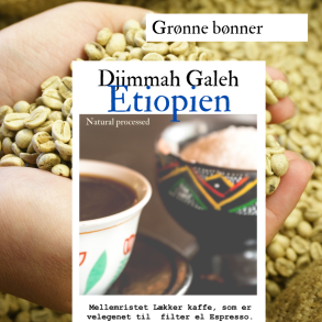 Etiopien Djimmah Galeh natural, Grnne bnner, gr 4