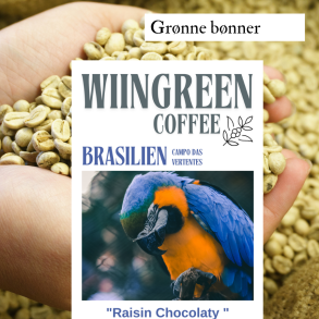 Brasilien Campo Das Vertentes, Grnne bnner, 1000 gr