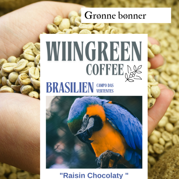 Brasilien Campo Das Vertentes, Grnne bnner, 1000 gr