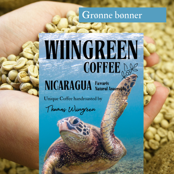 Nicaragua Fawaris AUB, Gr�nne b�nner 1000 gr.