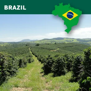 1 kg Brazil natural Arabica Sul de Minas, NY 2/3, Scr 15/16, strictly soft, fine cup