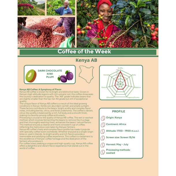  1 kg Kenya AB Arabica Nyeri PRESALE