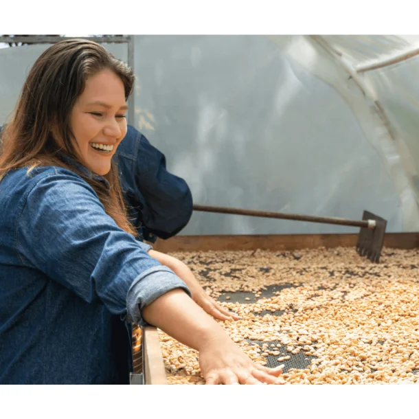 Colombia Pink Bourbon Bonito, natural processed, 500 gr grnne r bnner