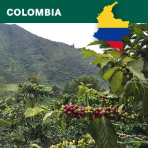 Colombia washed Arabica Excelso EP Cauca Organic ACEC 