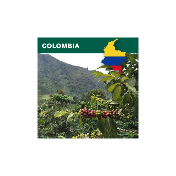Colombia washed Arabica Excelso EP Cauca Organic ACEC 