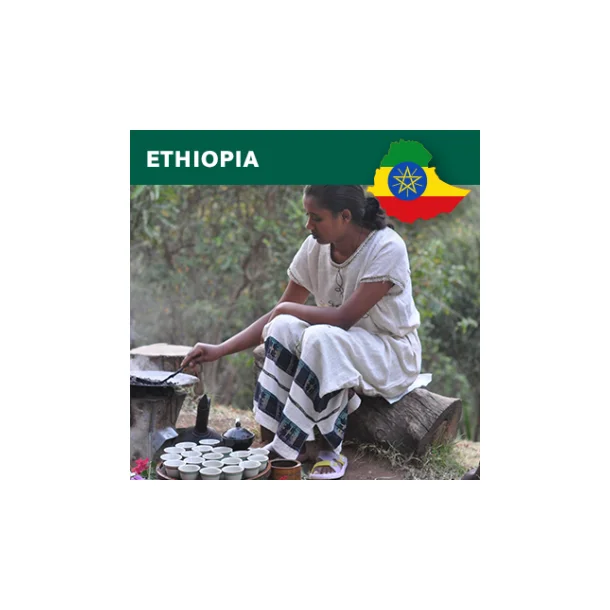 Ethiopia natural Arabica Yirgacheffe Aramo Grade 1 