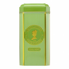 Cool Mint te - 75 stk. pyramidetebreve i flot dse