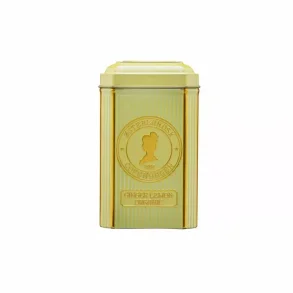 OUTLET Ginger Lemon �kologisk Te - 12 stk. pyramidetebreve i flot d�se