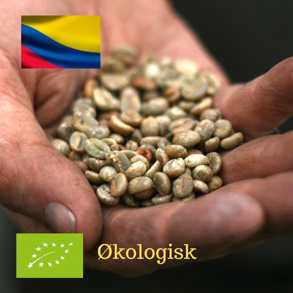 Umulig opkald At håndtere Santa Rita, Colombia økologisk Grønne rå kaffebønner, 1000 gr - Mellem &  Sydamerika - wiingreencoffee